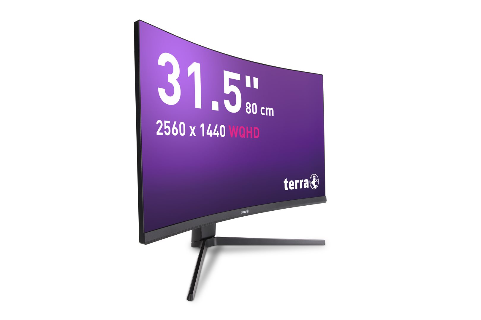 TERRA LCD/LED 3285W HA 2K VA CURVED black HDMI/DP/USB-C